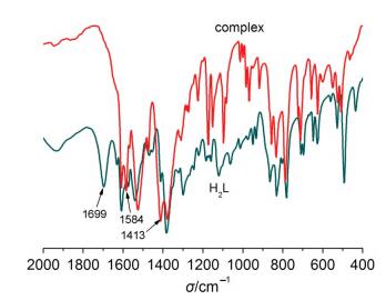 自由基化学概念 dxhx-31-5-68-3.jpg