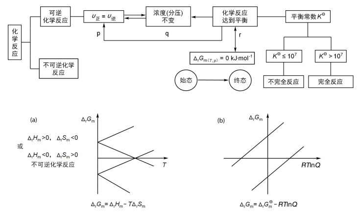 认识化学反应平衡