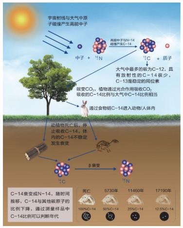 诺贝尔奖成果就在我们身边