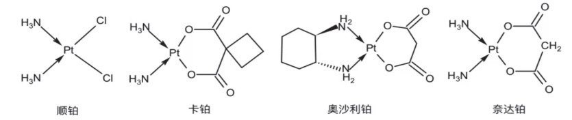 小“铂”上学记