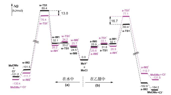 应用量子化学计算理解溶剂对CH3O−/CH3S−亲核性的影响