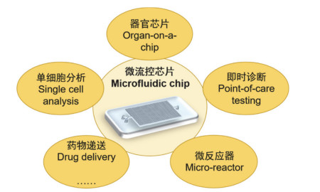 精准入微——将微流控技术引入分析化学教学的探讨