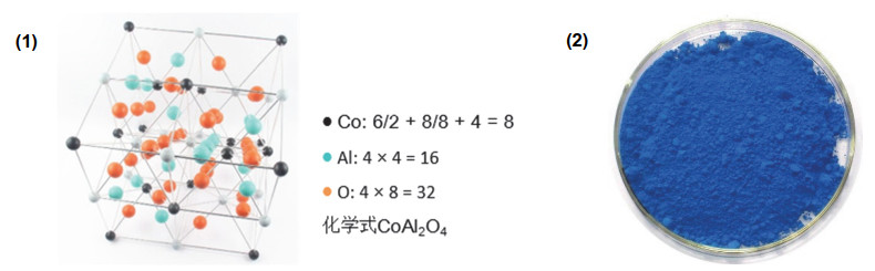 青花瓷选美记