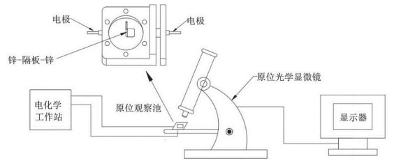 锌金属电镀过程中锌枝晶的生长行为及影响因素