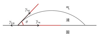 秋荷一滴露——从叶片接触角测量到表面结构模拟的科普探究实验